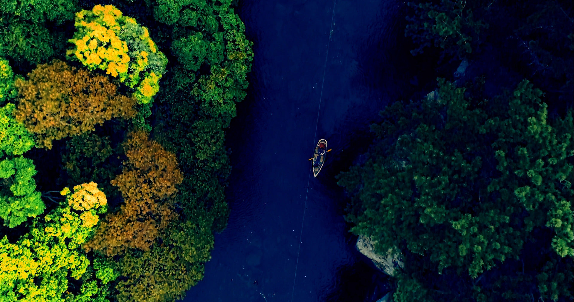 Het verhaal achter The Pure Lotus