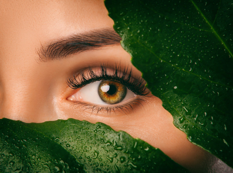 K-beauty winter skincare tips